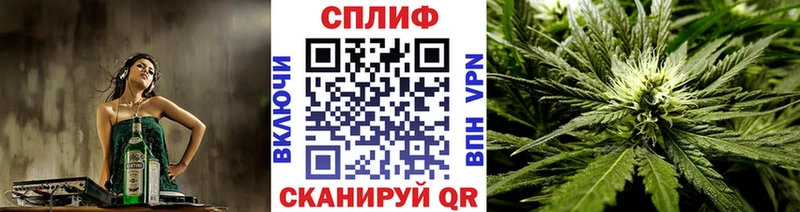  Кокаин Бологое