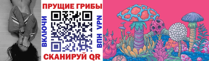 Галлюциногенные грибы MAGIC MUSHROOMS  Купить  Бологое 